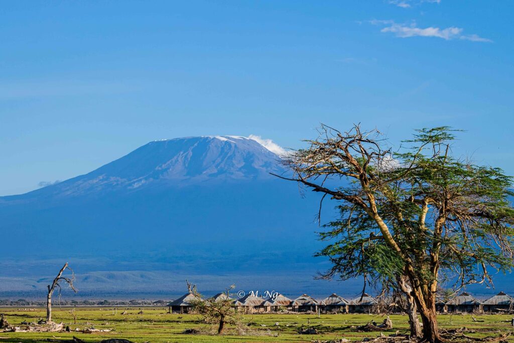 Kilimanjaro climb and Gorilla tracking safari package