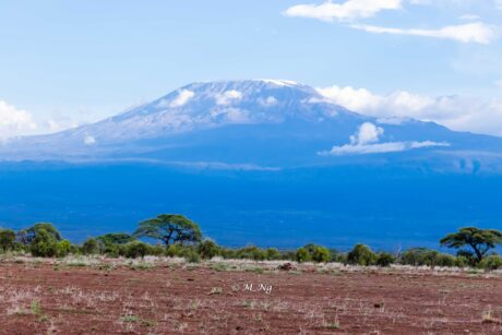 12 days Gorilla tracking and Mt.Kilimanjaro