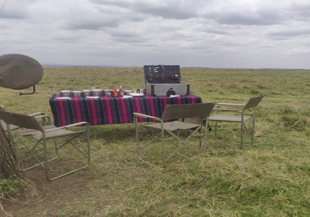 9 Days Serena safari lodges and Beach at Serena Beach Hotel
