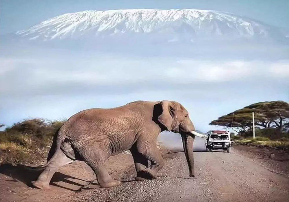 Amboseli